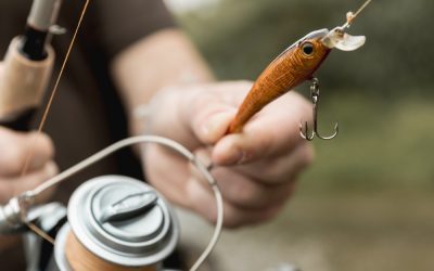 Choosing the Right Fishing Rod for Beginners