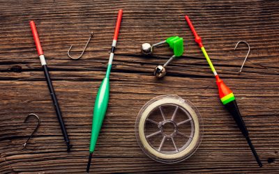 Top 5 Spinning Rods for Freshwater Fishing